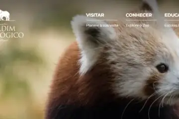 Passatempo Zoo Panda-vermelho