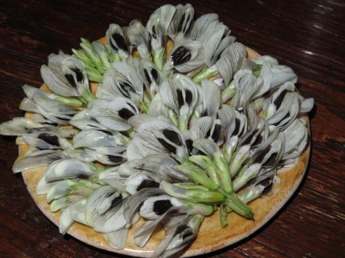 favas favas