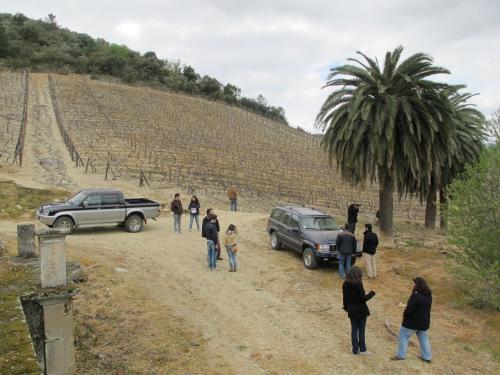 Quinta dos Aciprestes Quinta dos Aciprestes