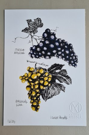 Touriga Nacional e Malvasia Fina Touriga Nacional e Malvasia Fina