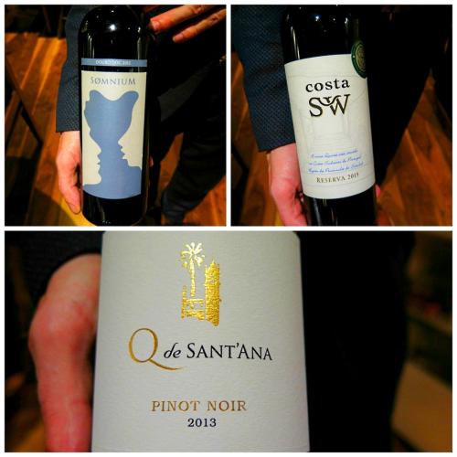 Somnium branco 2012 / Costa SW Reserva branco 2013 / Quinta de Sant&rsquo;Ana Pinot Noir tinto 2013