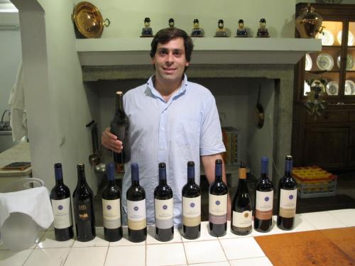vinhos