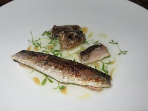 Sardinha