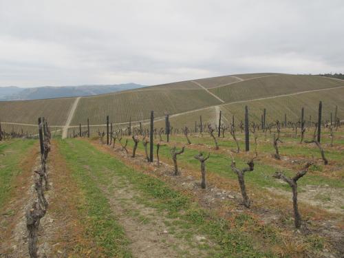 Quinta de Cidrô Quinta de Cidrô