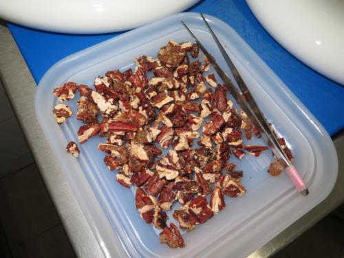 Noz Pecan