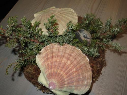 Scallop “i skalet ur elden” cooked over burning juniper branches Scallop “i skalet ur elden” cooked over burning juniper branches