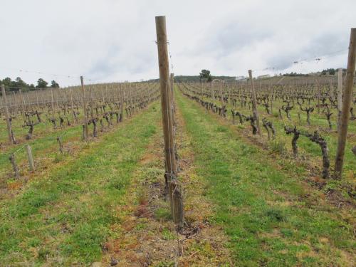 Quinta do Casal da Granja