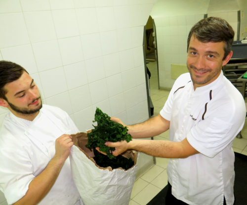 Miguel Rocha Vieira e a Alface-do-mar Miguel Rocha Vieira e a Alface-do-mar