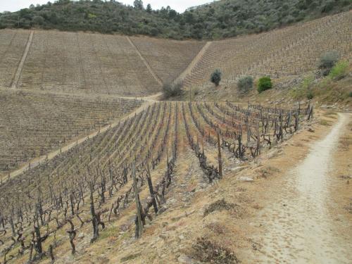Quinta dos Aciprestes Quinta dos Aciprestes