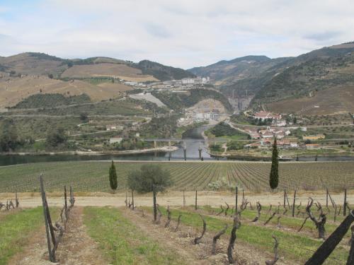 Quinta dos Aciprestes Quinta dos Aciprestes