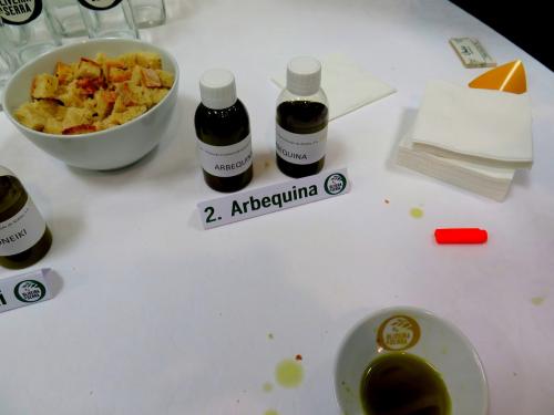 Amostra da variedade Arbequina