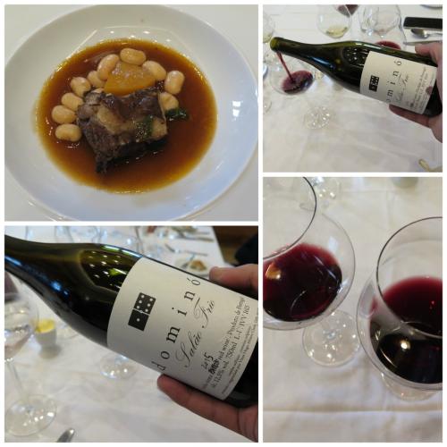 Domin&oacute; Sal&atilde;o Frio tinto, 2014 e 2015