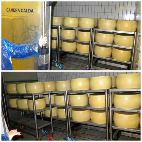 4 Madonne Caseificio dell’Emilia 4 Madonne Caseificio dell’Emilia
