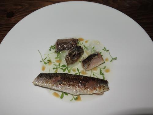 Sardinha