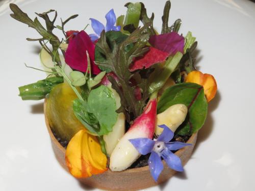 Jardim do Chef, legumes, ervas, flores, crumble de granola e espuma de queijo