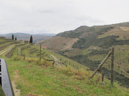 Quinta do S&iacute;bio