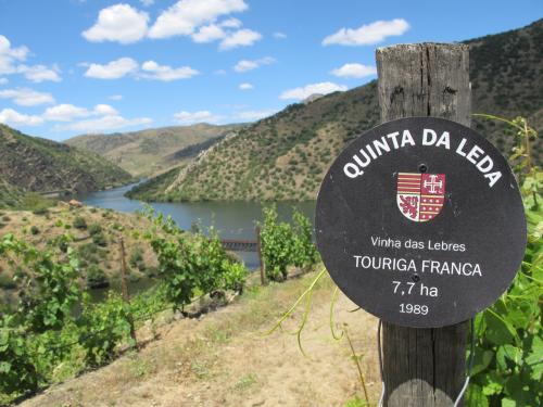 Quinta da Leda