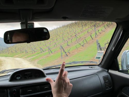 Quinta dos Aciprestes Quinta dos Aciprestes