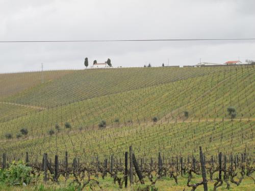Quinta de Cidrô Quinta de Cidrô