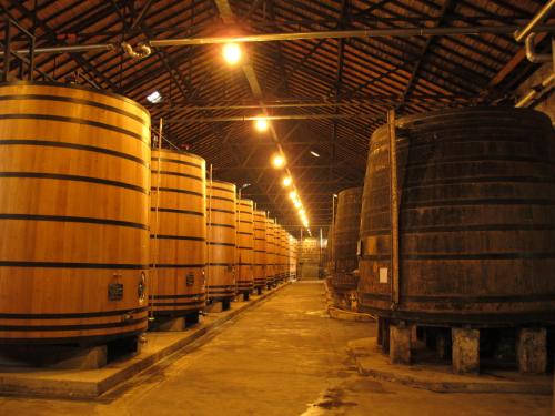 Real Companhia Velha