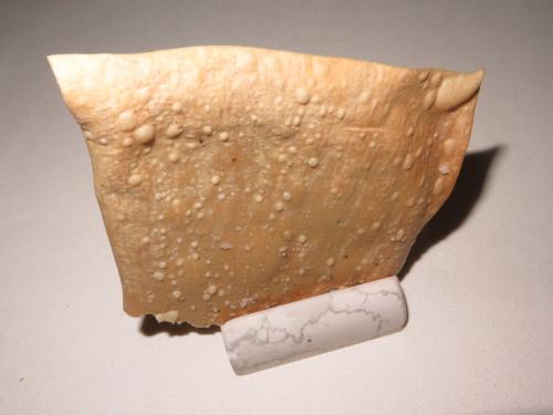 Pane Carta Musica