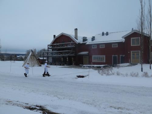 F&Auml;VIKEN