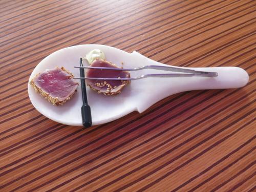 Tataki de atum