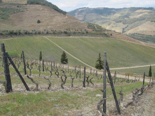 Quinta dos Aciprestes Quinta dos Aciprestes