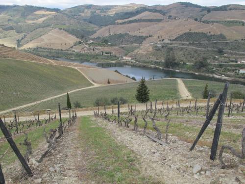 Quinta dos Aciprestes Quinta dos Aciprestes