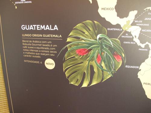 Lungo Origin Guatemala Lungo Origin Guatemala