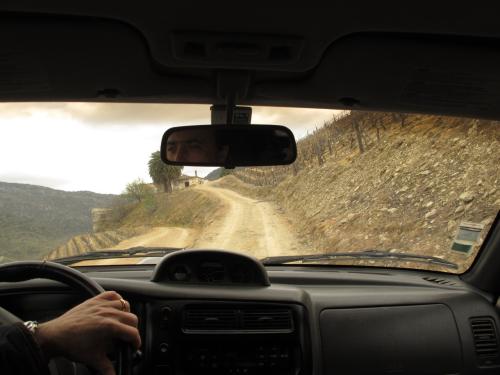 A caminho da antiga casa da Quinta da Boavista A caminho da antiga casa da Quinta da Boavista