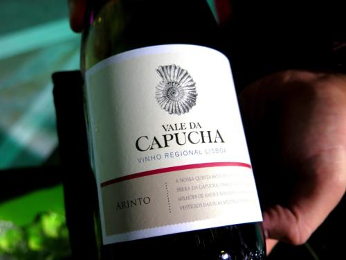 Vale da Capucha Arinto branco 2013