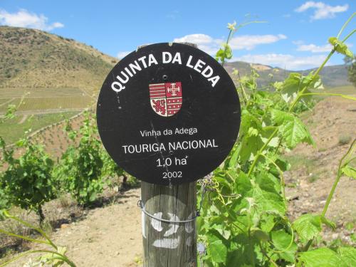 Quinta da Leda, Vinha da Adega Quinta da Leda, Vinha da Adega