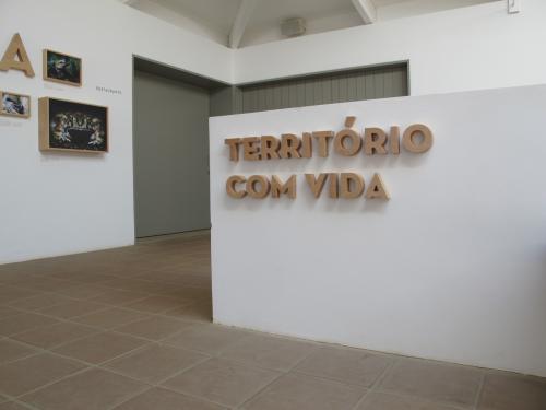 Vida Vida