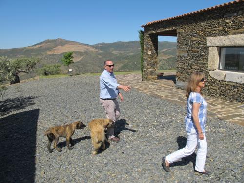 Quinta de Castelo Melhor