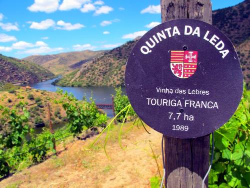 Quinta da Leda