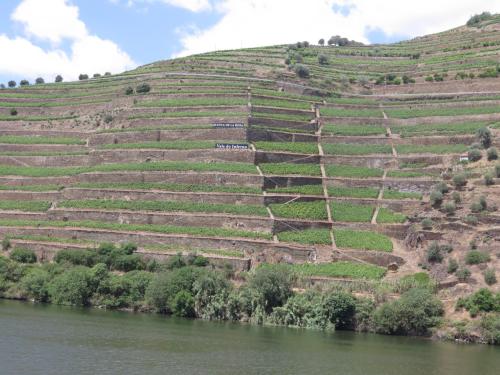A mítica vinha Vale do Inferno da Quinta de la Rosa A mítica vinha Vale do Inferno da Quinta de la Rosa