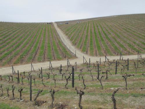 Quinta de Cidrô Quinta de Cidrô