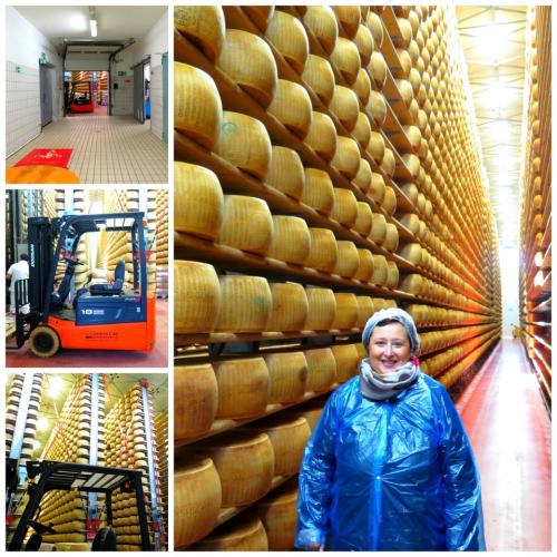 4 Madonne Caseificio dell’Emilia 4 Madonne Caseificio dell’Emilia