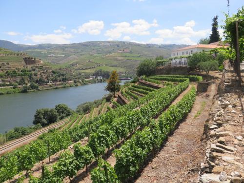 Quinta de la Rosa Quinta de la Rosa