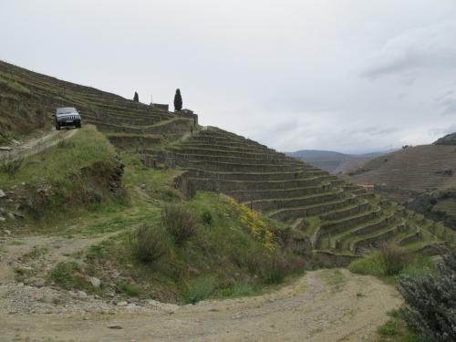 Quinta do S&iacute;bio