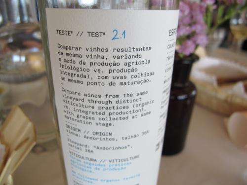 Teste Teste