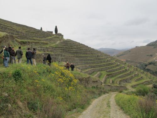 Quinta do S&iacute;bio