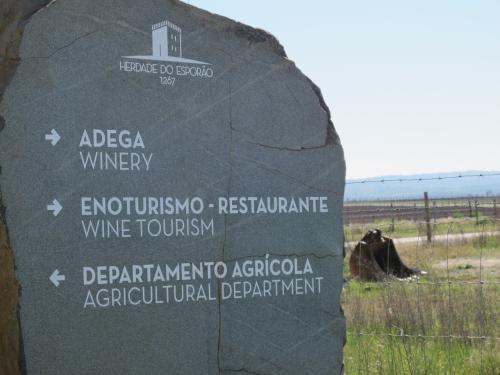 Enoturismo Enoturismo