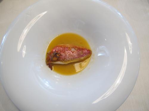 Salmonete Salmonete