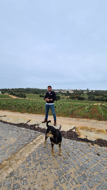 Quinta dos Santos