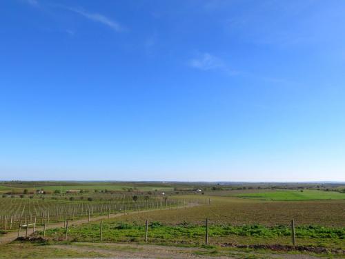 Herdade do Moinho Branco Herdade do Moinho Branco