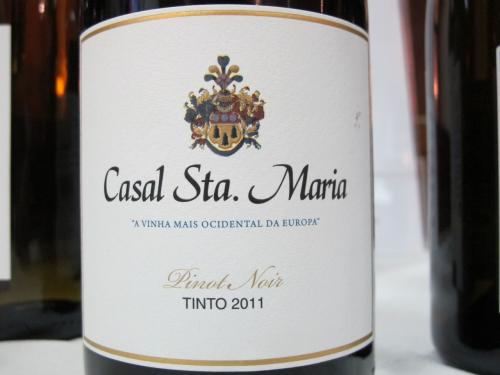 Casal Sta. Maria Pinot Noir .JPG Casal Sta. Maria Pinot Noir .JPG