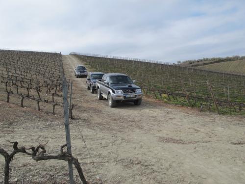 Quinta de Cidrô Quinta de Cidrô