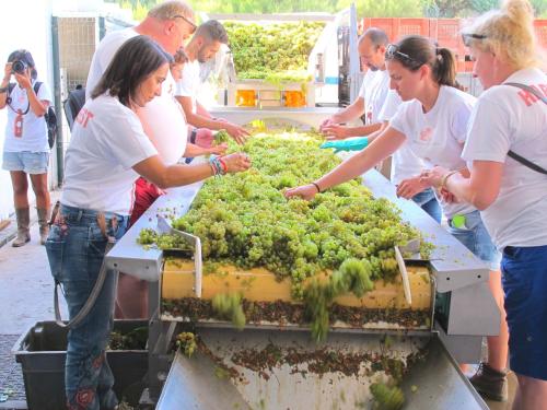 Mesa de Escolha